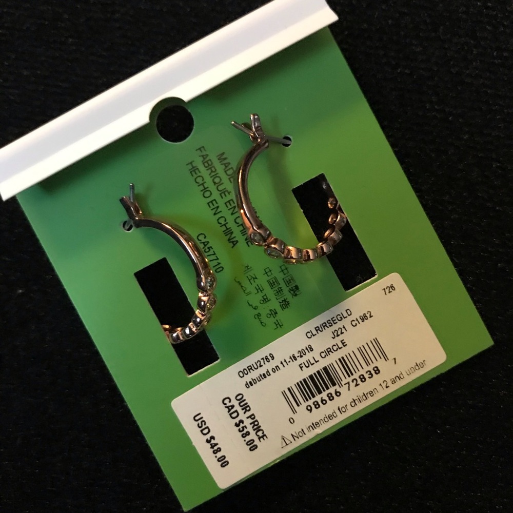 Kate Spade Rose Gold Full Circle Earrings - Picture 3 of 6